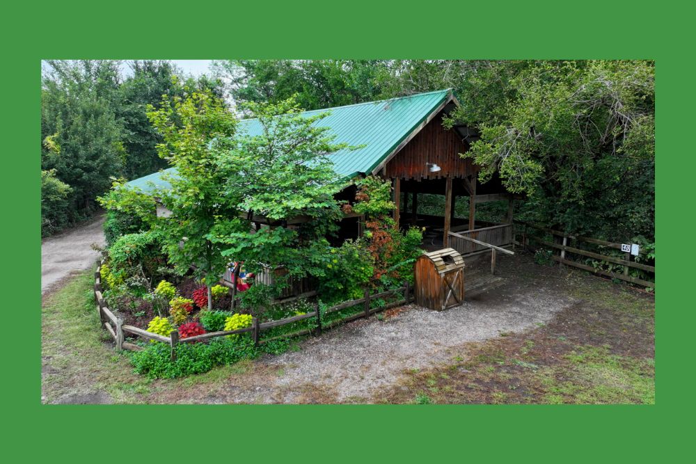 wooden picnic shelter 2