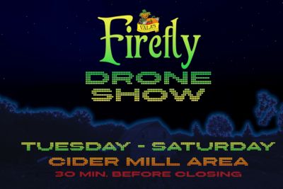 drone show website